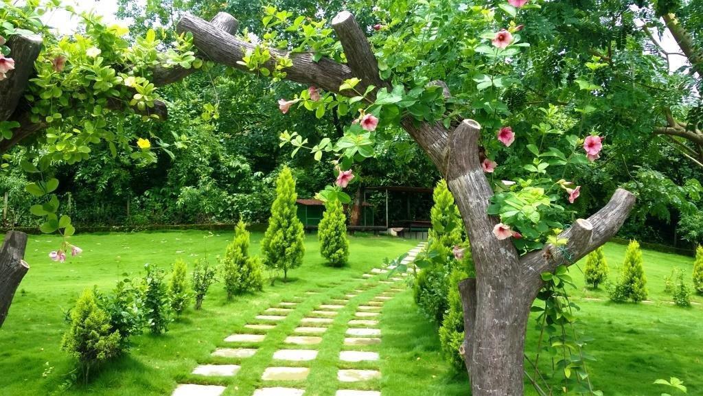 Sparsh Resort & Chalet Kalamb  Esterno foto